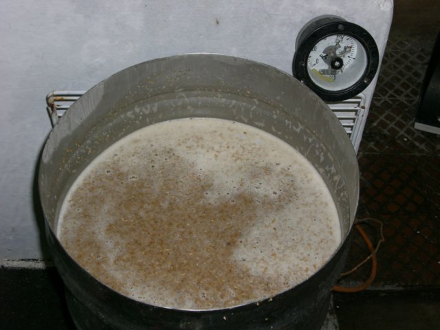 photo1.jpg