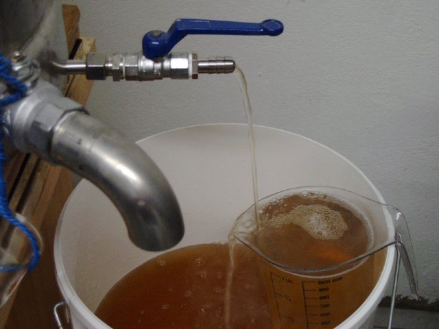 photo63.jpg