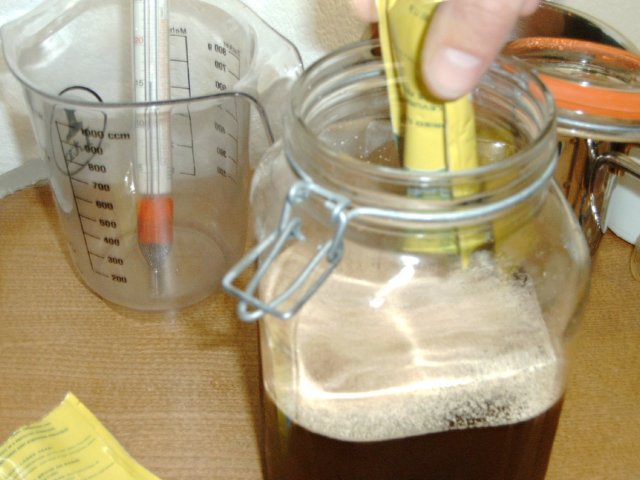 photo71.jpg
