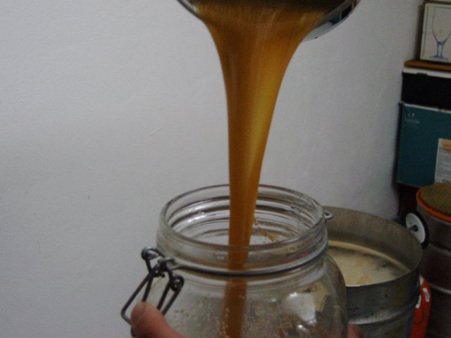 photo74.jpg