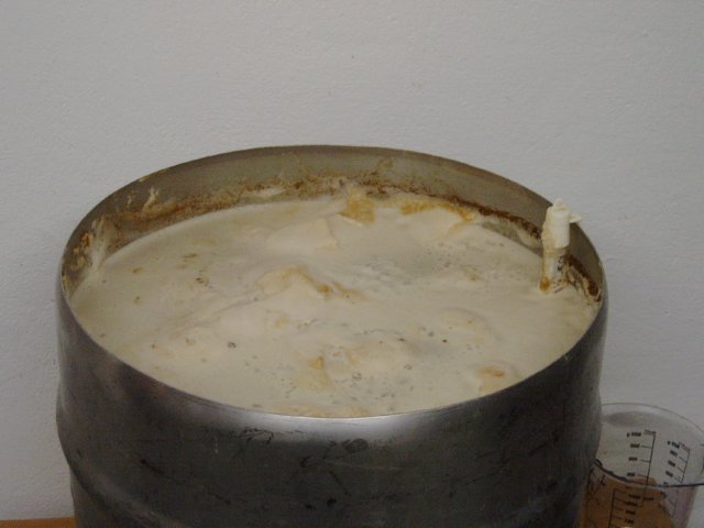 photo92.jpg