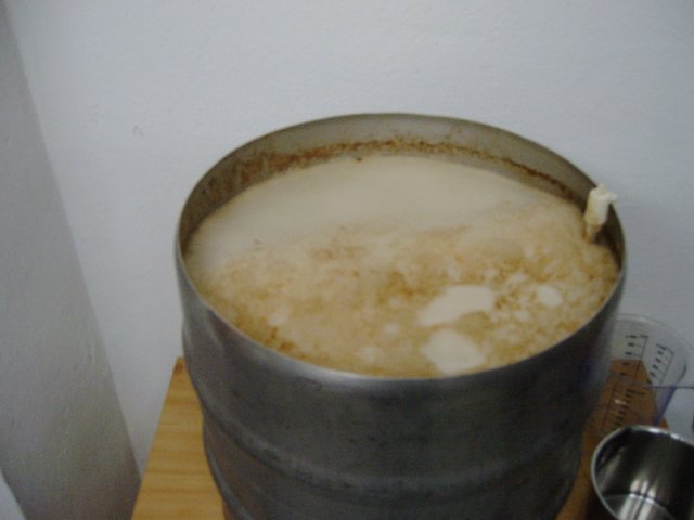 photo94.jpg